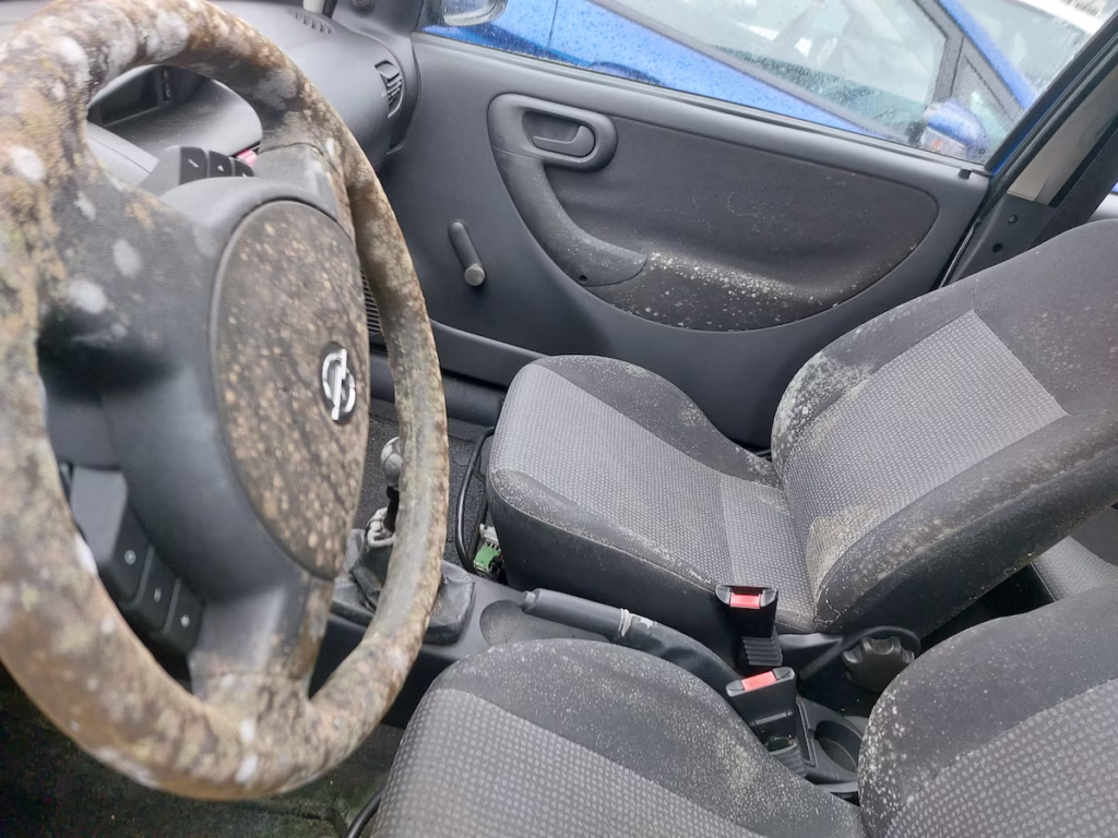 Mobiele detailer stoomreinigt autostoel om schimmel en muffe geur te verwijderen op locatie." (Bevat trefwoorden: Mobiele detailer, stoomreinigt autostoel, schimmel verwijderen, op locatie)